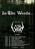 IN THE WOODS