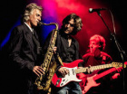 THE DIRE STRAITS EXPERIENCE